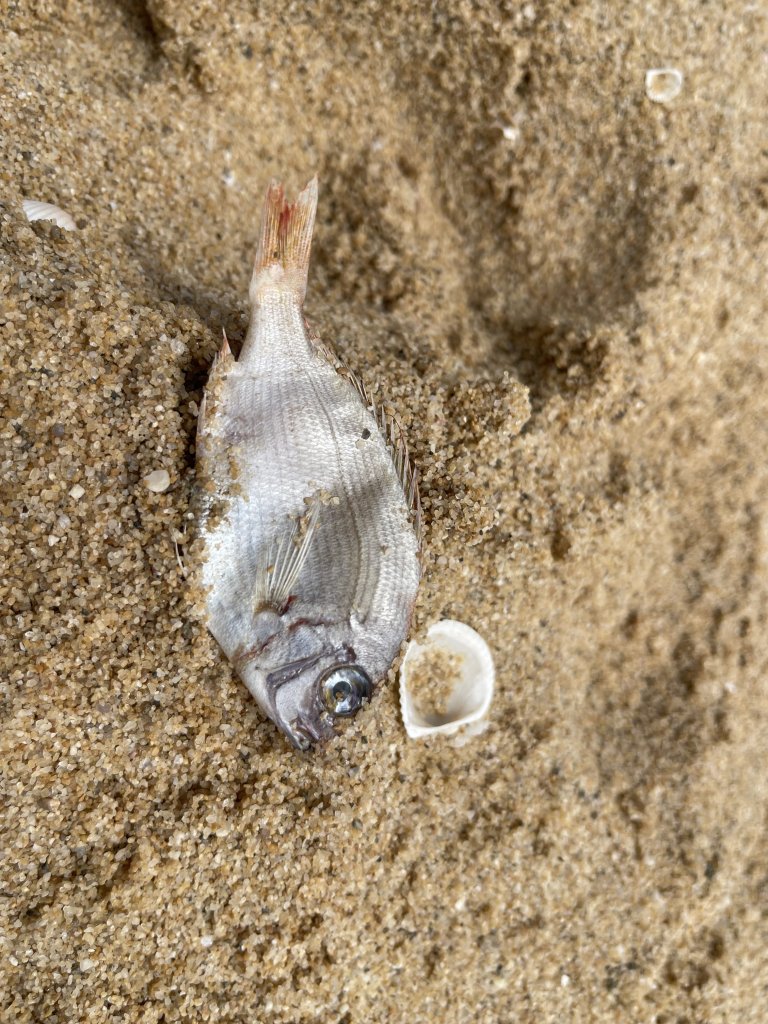 IMG_6925.JPG