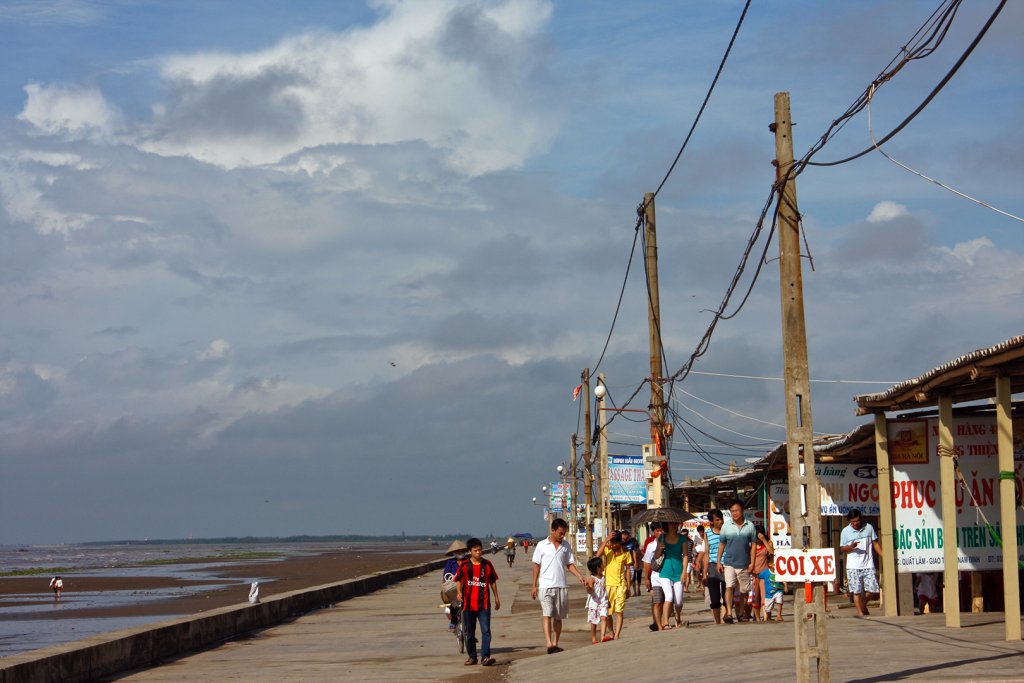 QL2010-1.jpg