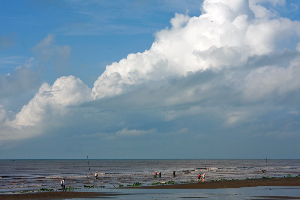 QL2010-5.jpg