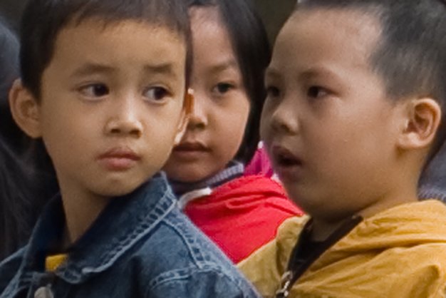 IMG_0052Crop.jpg