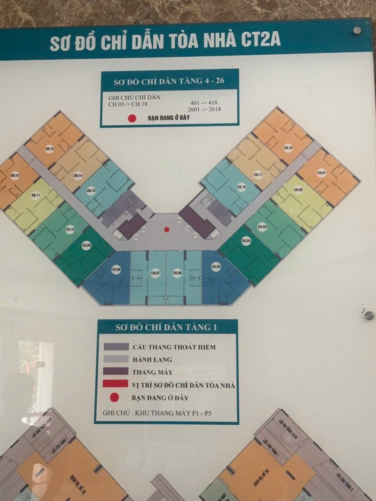 1000011207.jpg