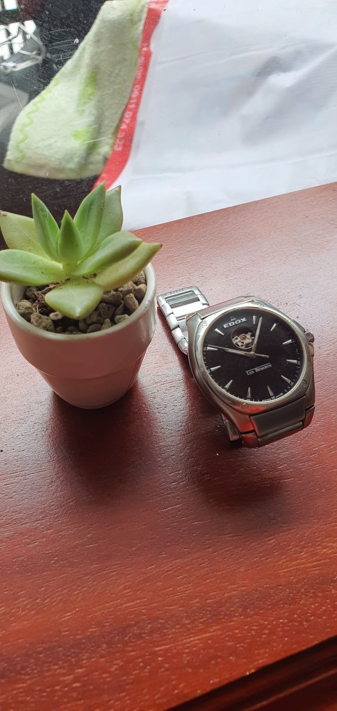 20250710_100052.jpg