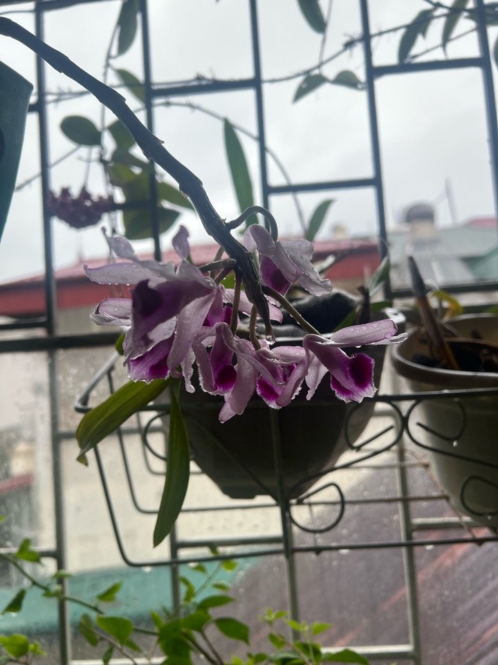 IMG_0626.jpeg