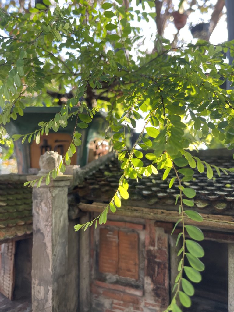 IMG_2285.jpeg