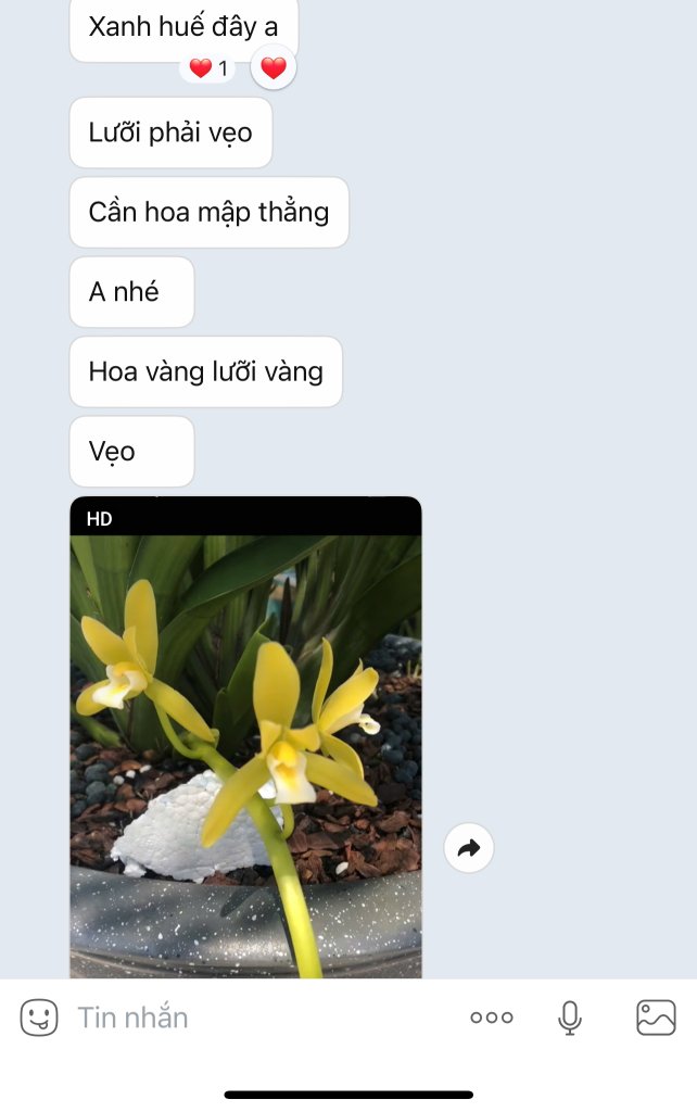 IMG_0742.jpeg