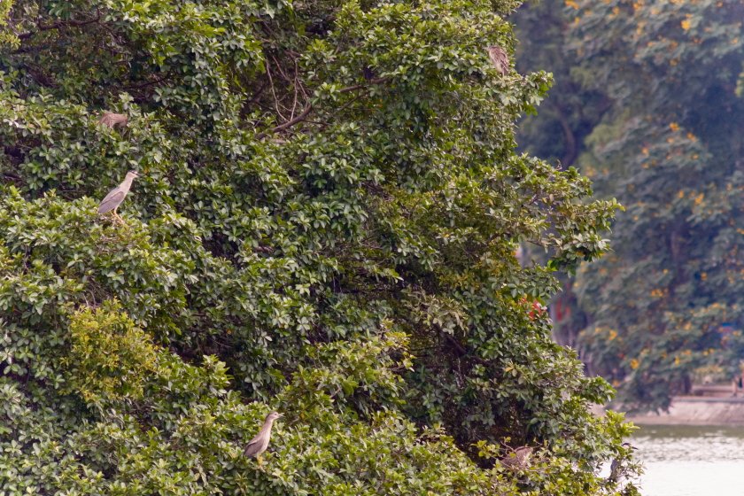 DSCF0470.JPG