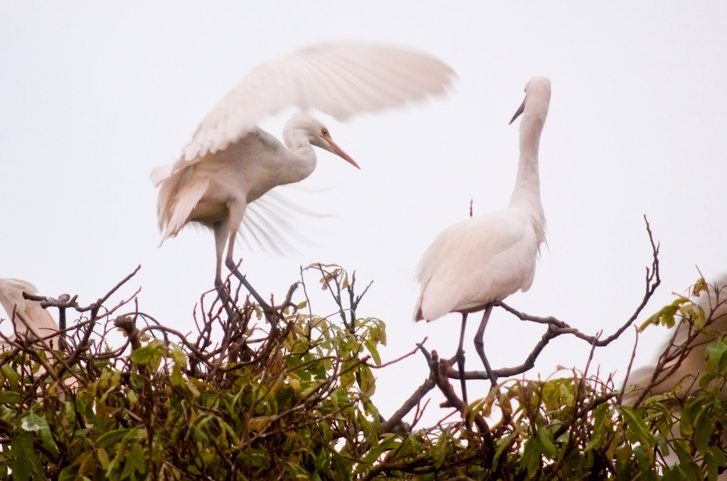 img 0555b.jpg