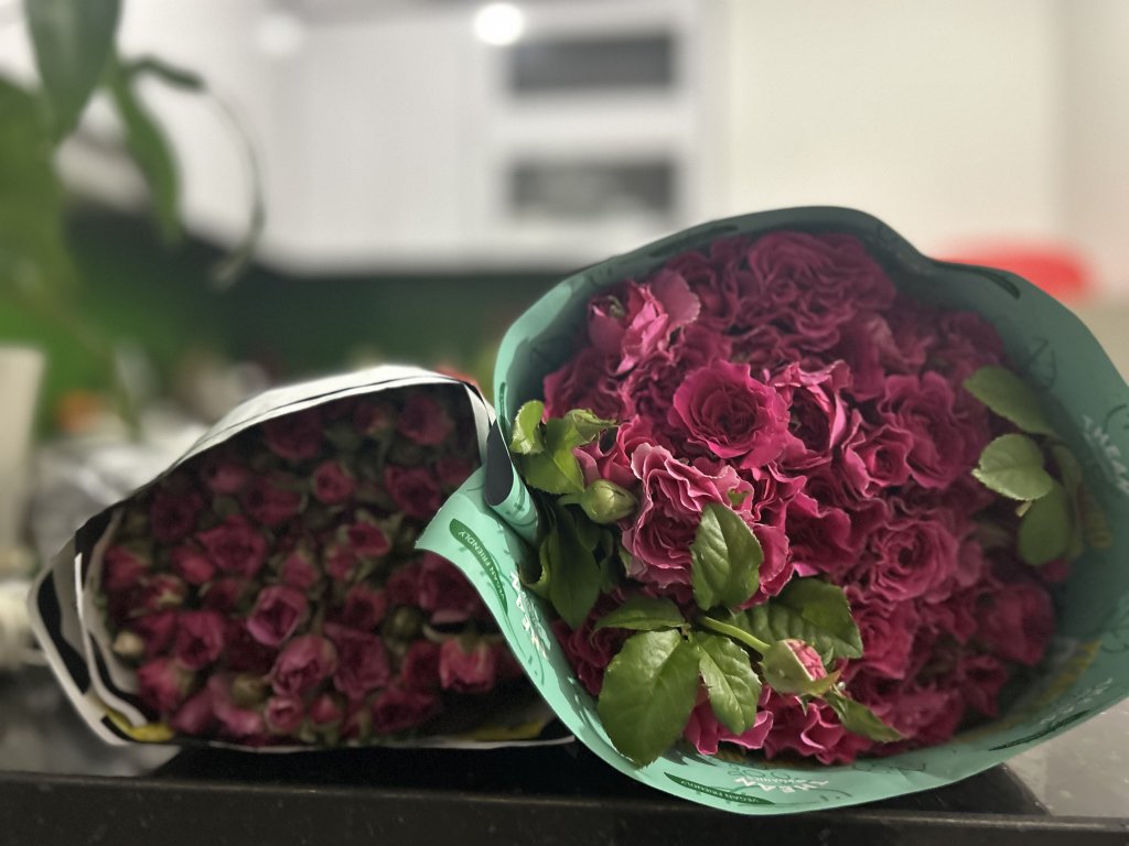 IMG_0756.jpeg