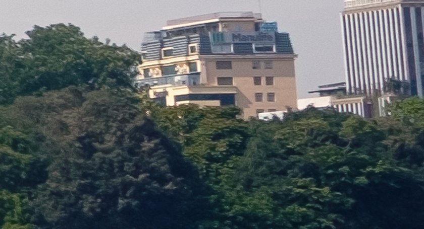 SDCF0077Crop.JPG