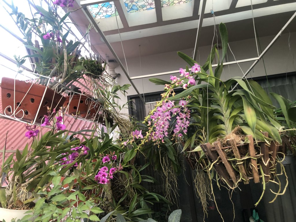 IMG_1581.jpeg