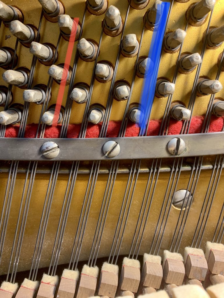 IMG_3365.jpeg