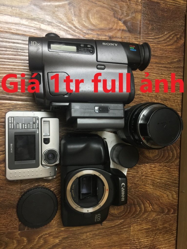 8527284-43e89757d75fa7b993e8e2cd5ee3cdd5.jpg