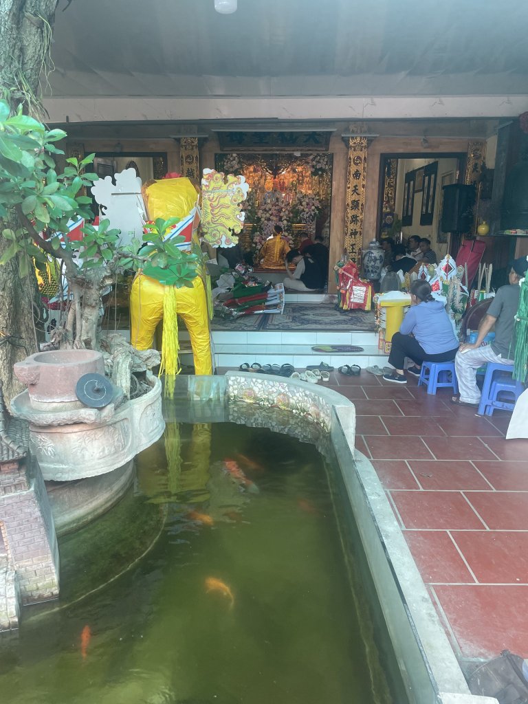 IMG_3990.jpeg