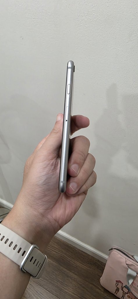 1000003531.jpg
