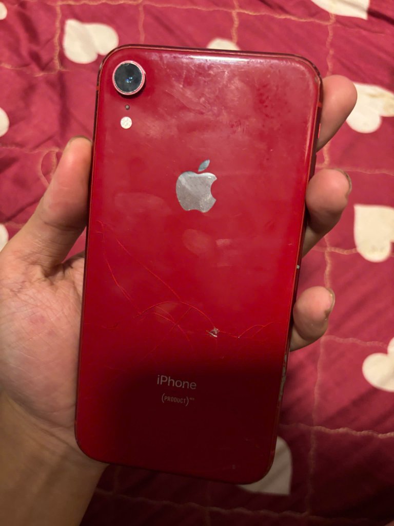 IMG_1968.jpeg
