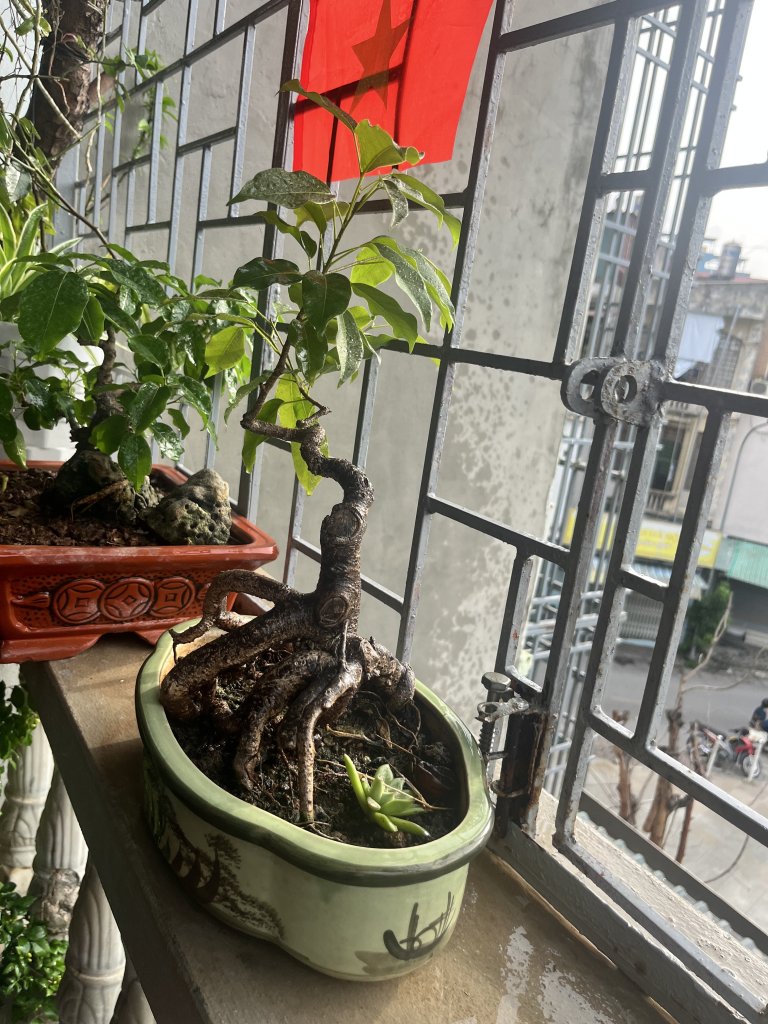 IMG_1354.jpeg