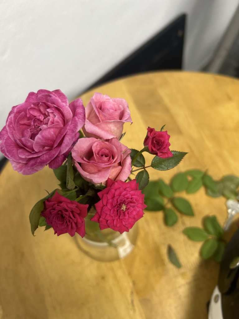 IMG_0803.jpeg