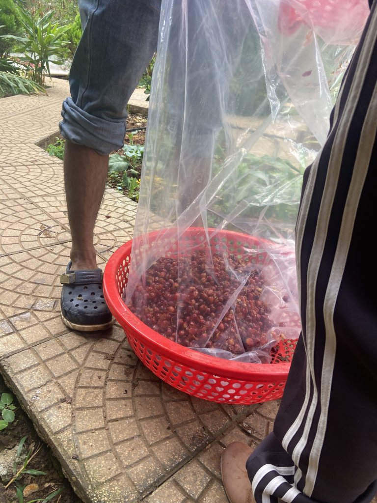 IMG_8620.jpeg