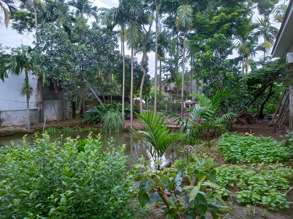 IMG20250706060656.jpg