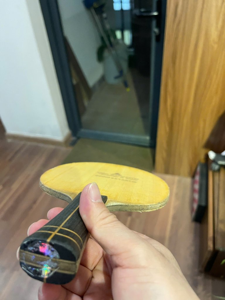 z6080337351171_62b7483fbdaeb98fa9f7123895d0ff6c.jpg