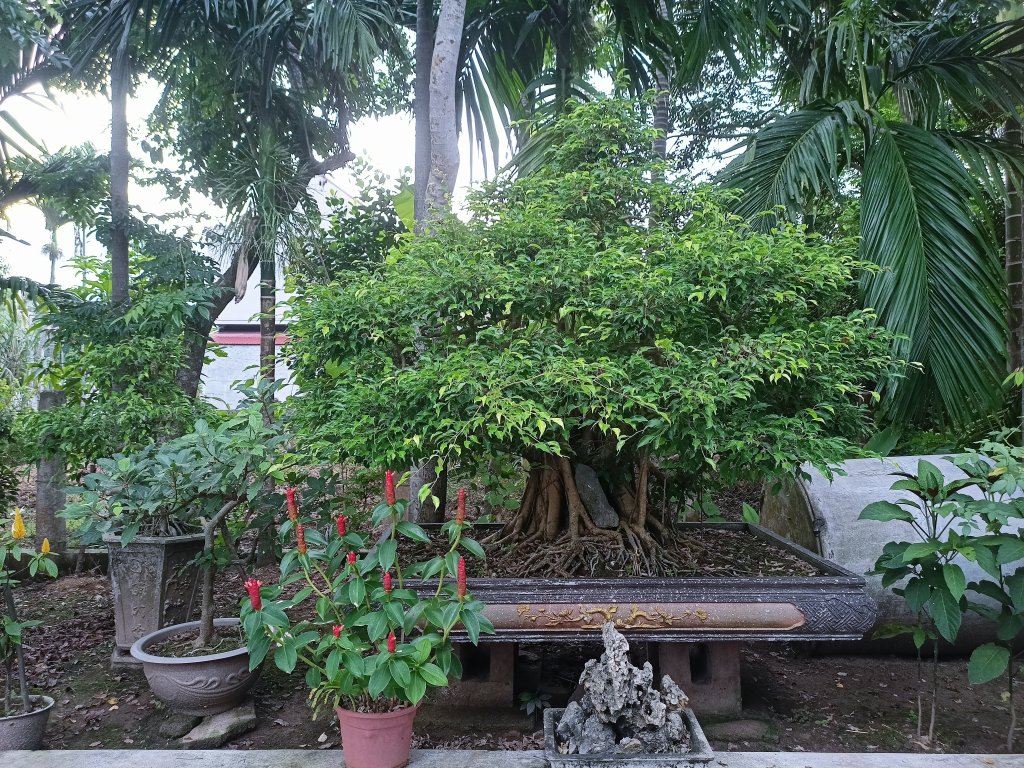 IMG20250706060759.jpg