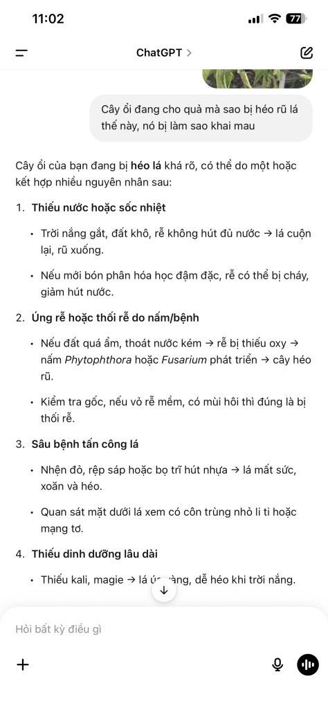 IMG_3223.png