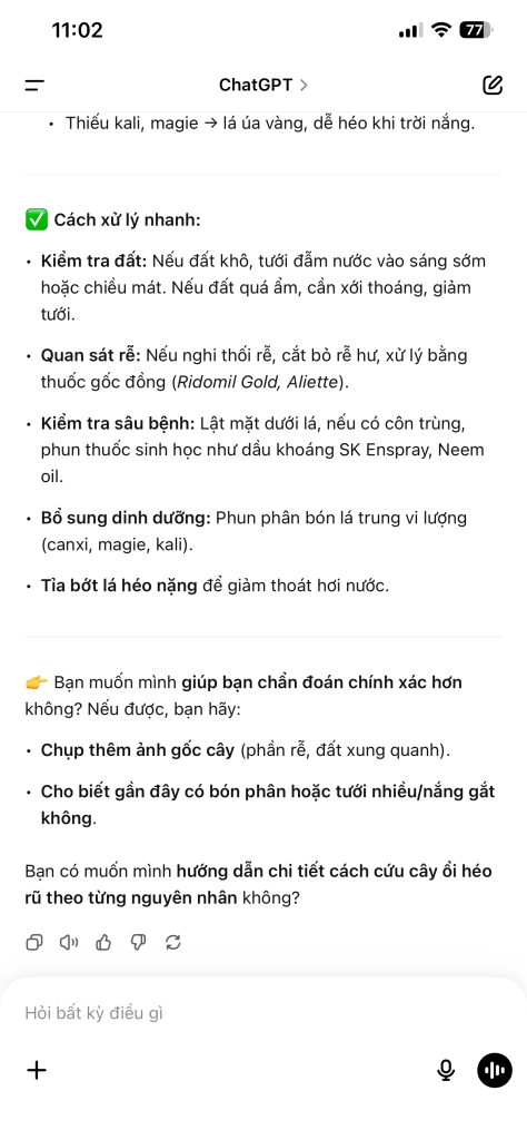 IMG_3224.png
