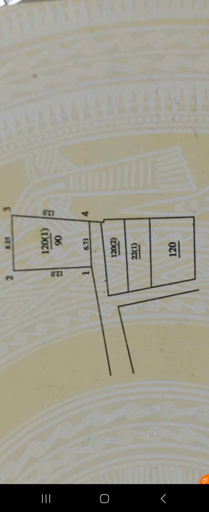 1000039036.jpg