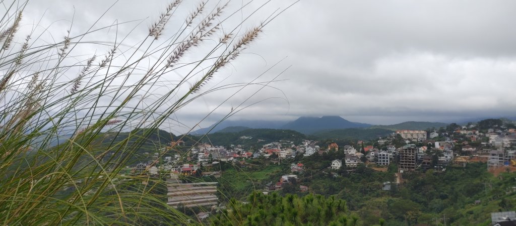 20250720_112037_HDR.jpg