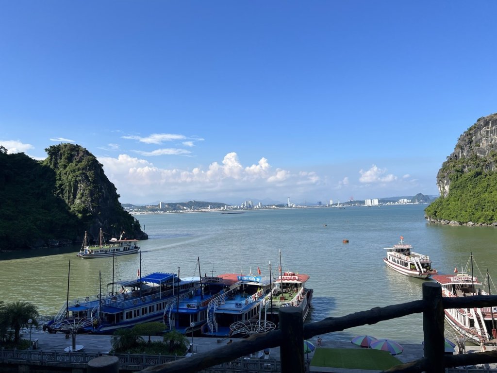 hang-dau-go-ha-long-3.jpeg