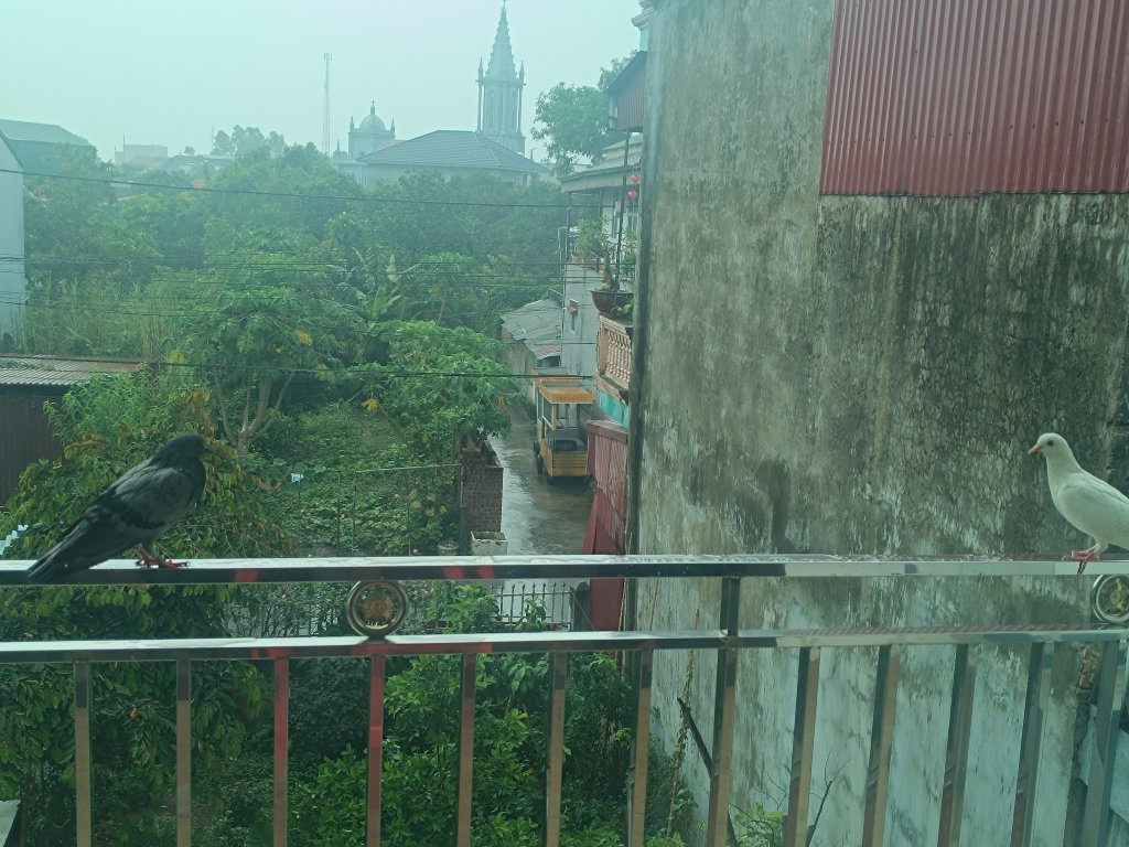 IMG_20250721_083354.jpg