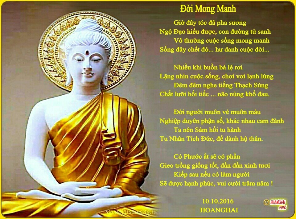 c491e1bb9di-mong-manh-jpg.jpeg