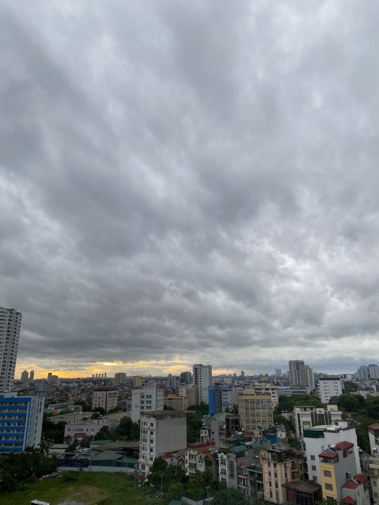 IMG_6232.jpeg