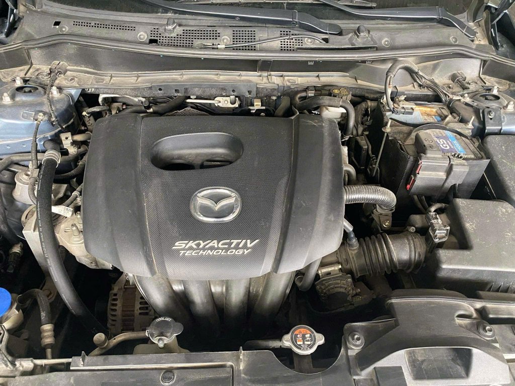z6790179882198_c941a98f10f50341b4464251712363b5.jpg