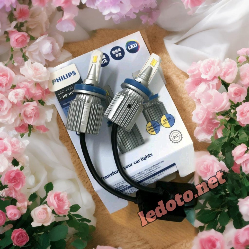 Đèn LED Gầm ô tô Philips Ultinon Essential Dual CCT chân H8 H11 H16 HB4.jpg