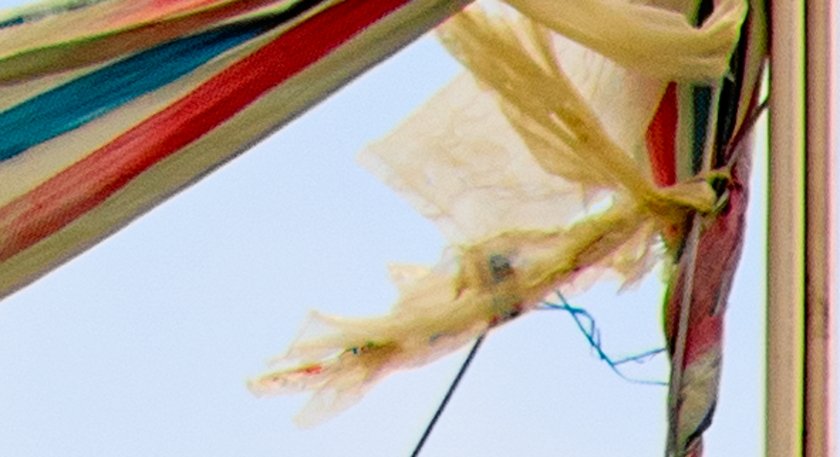 IMG_1982 Crop.JPG