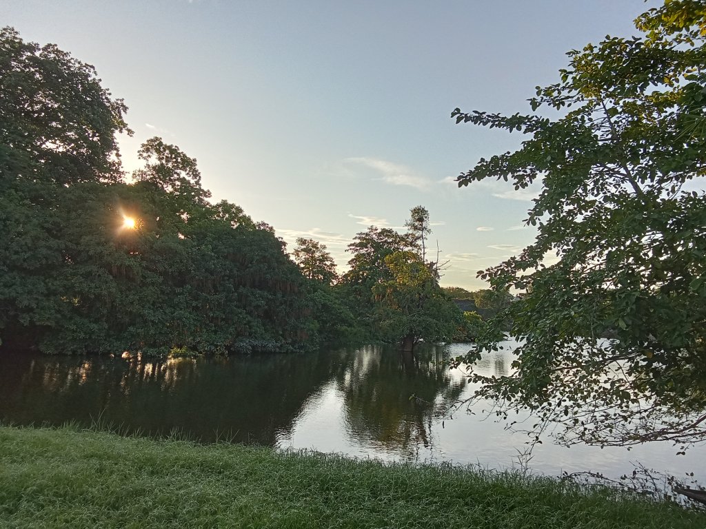 IMG20250707175059.jpg