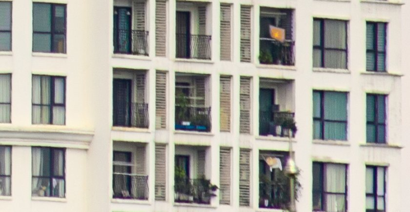 IMG_1985Crop.JPG