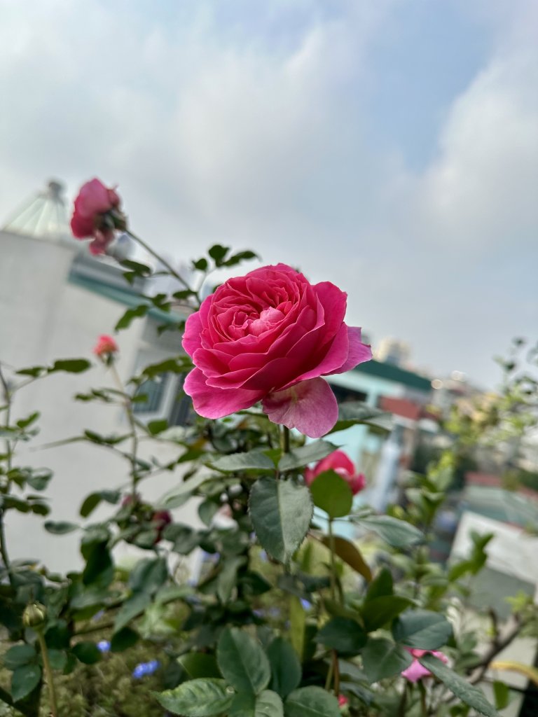 IMG_8499.jpeg