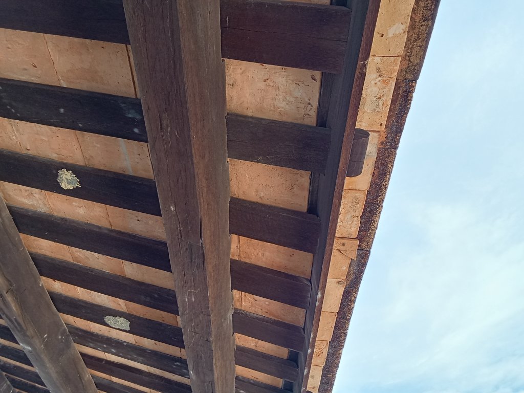 IMG20250708091924.jpg