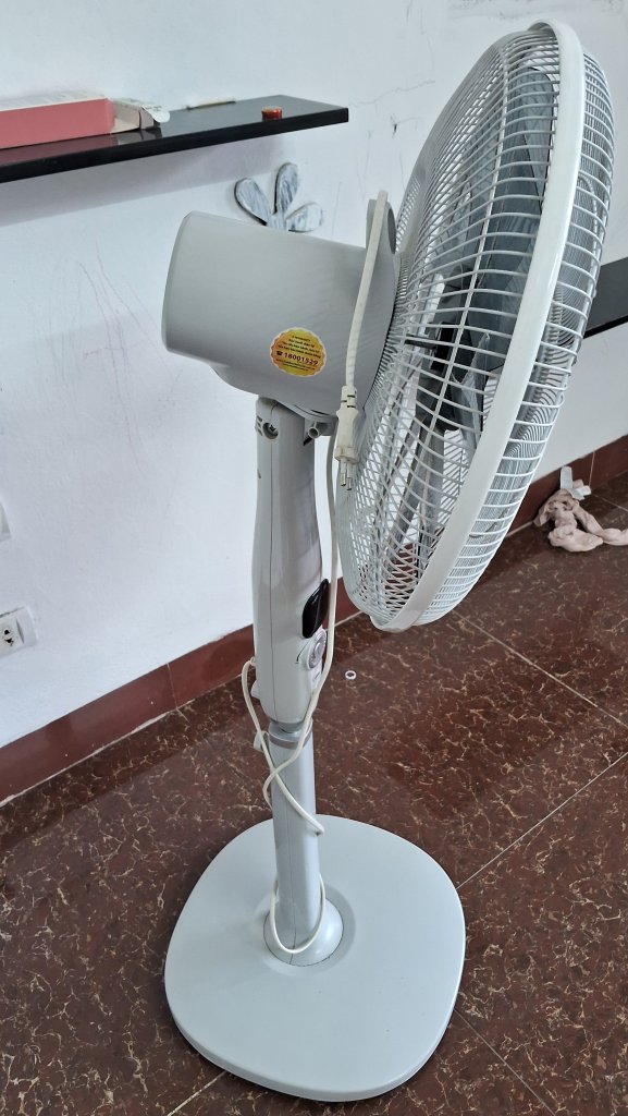 1000008090.jpg