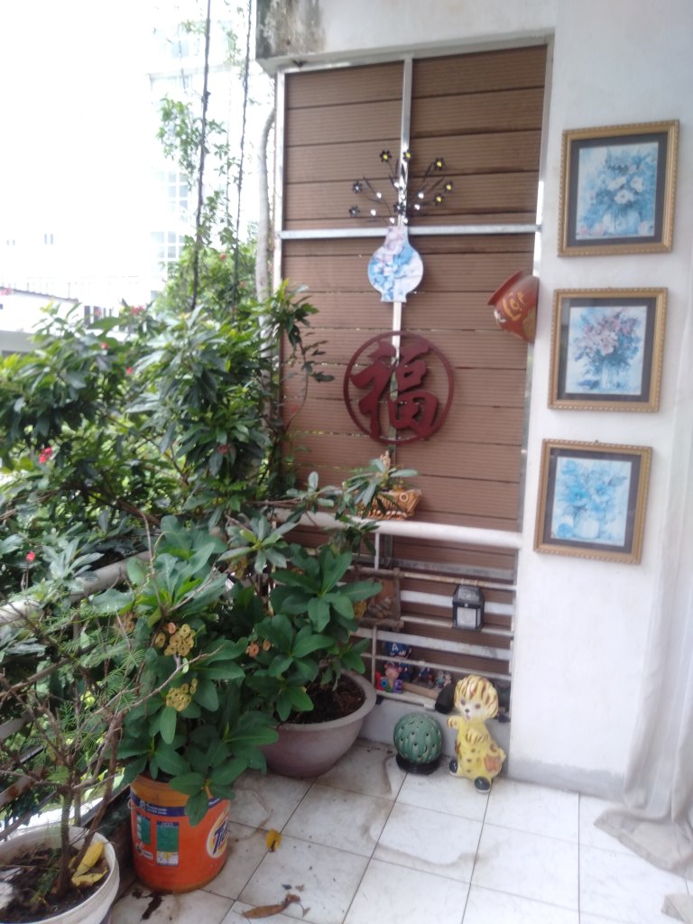 IMG20250724120123.jpg