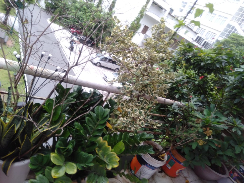IMG20250724120138.jpg