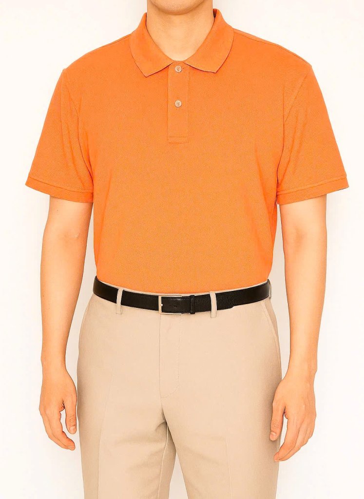 POLO-cr (7).jpg