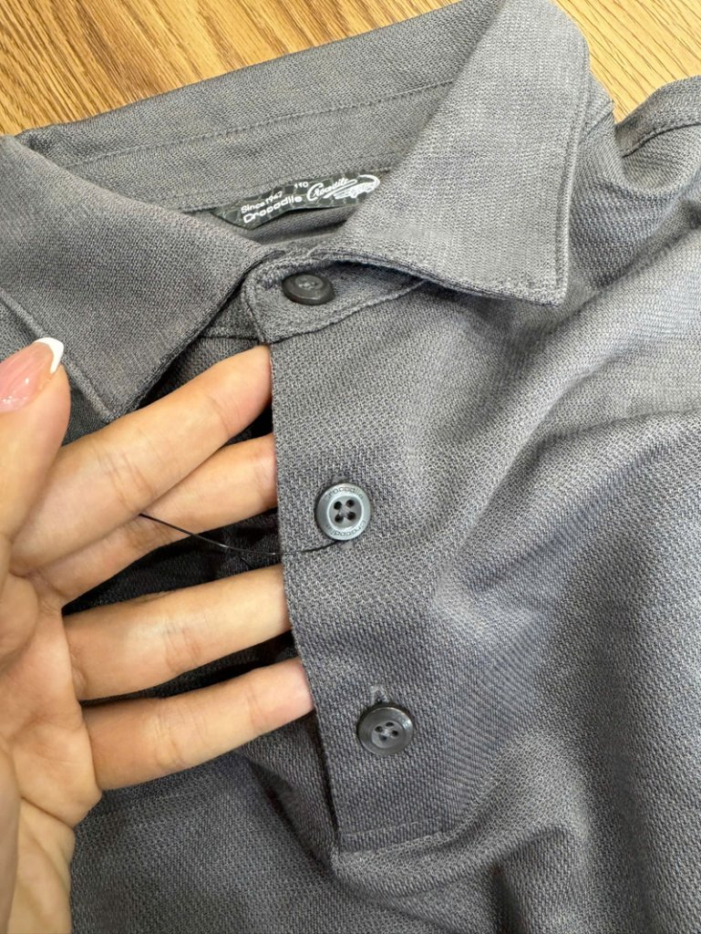polo-crocodile 3.jpg