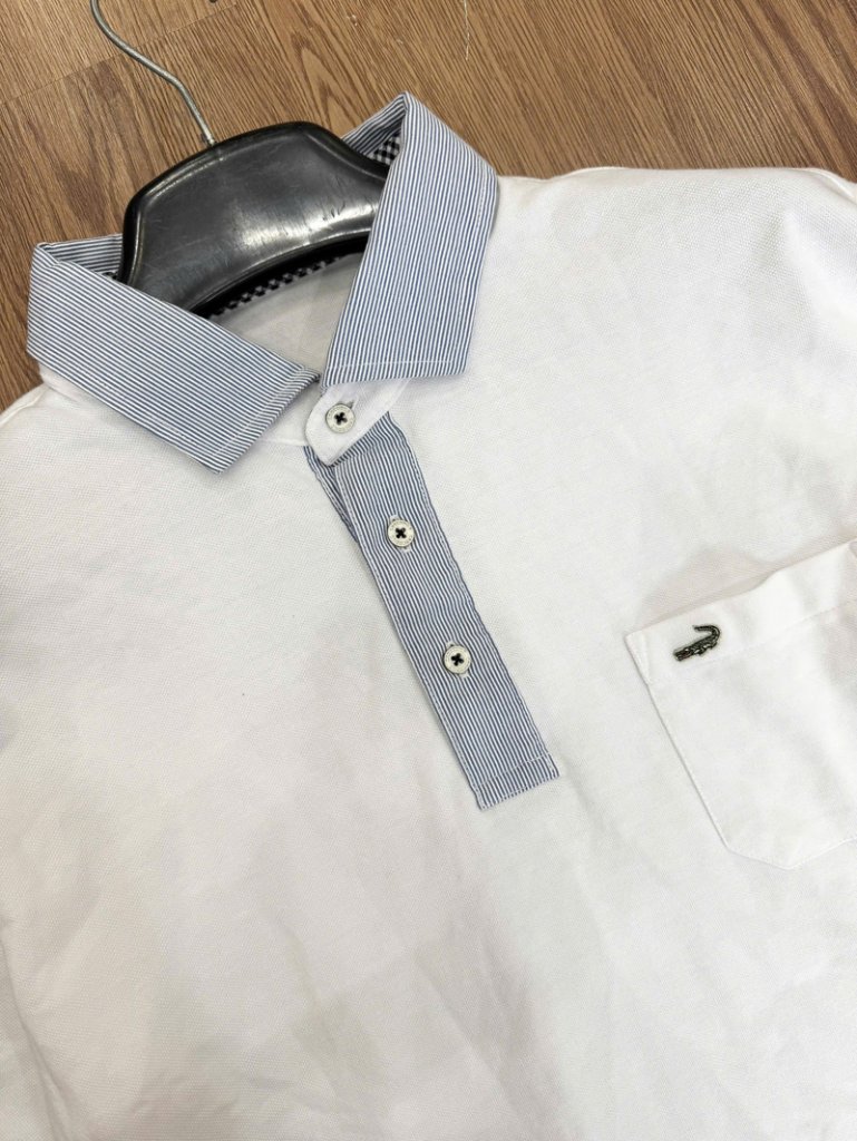 polo-crocodile 11.jpg