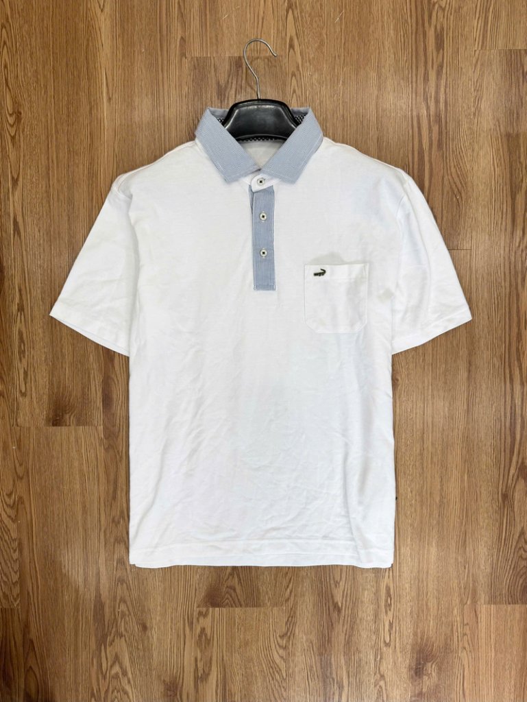 polo-crocodile 12.jpg