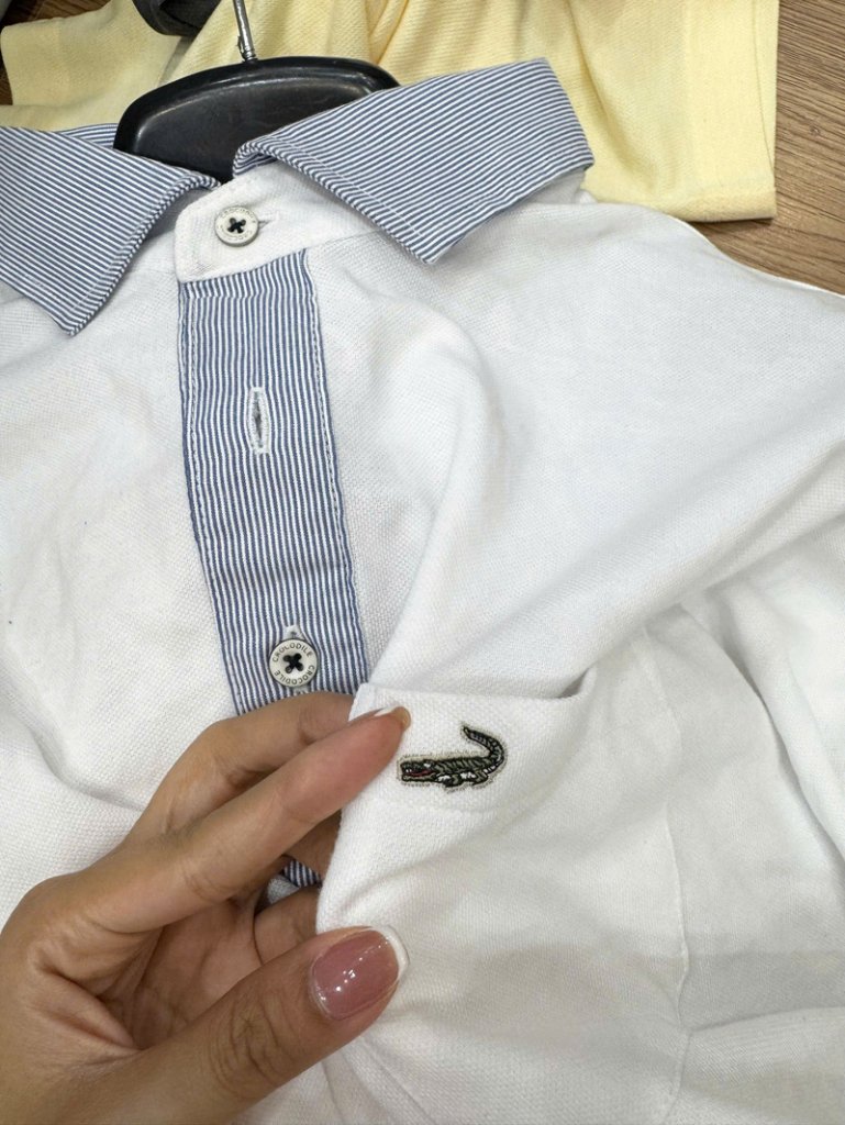 polo-crocodile 13.jpg