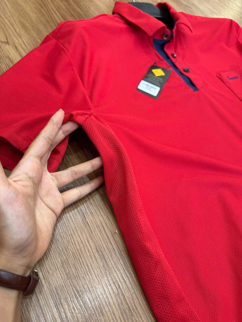 polo-crocodile 24.jpg