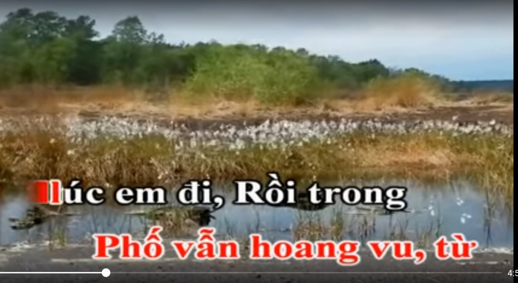 Screenshot_20250725_075545_YouTube Music.jpg